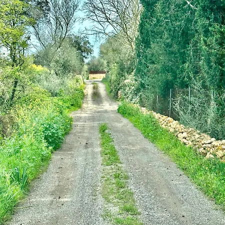 Casita Catalan *